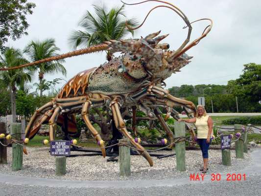 Now THIS is a LOBSTER!