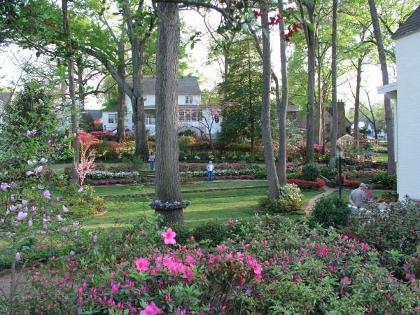 Dobbs Street backyard garden