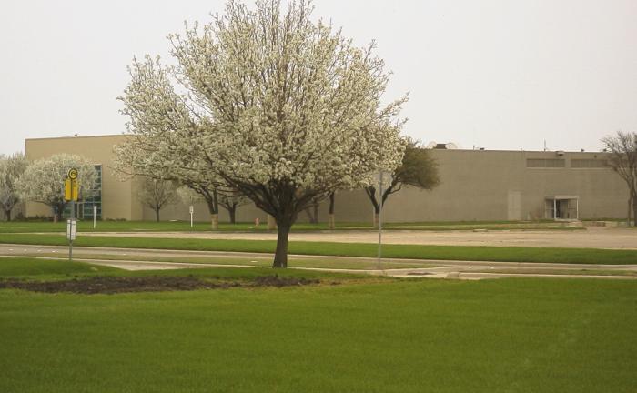 Painted Building 401 as seen from Building 412 in March