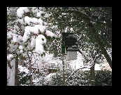 They may be birdbrains, but the occupants of these houses have gone South for the winter.