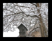 I guess this Texas birdhouse couple must have gone to the Valley