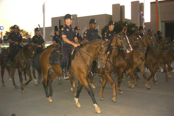 The Dallas Mounted Police