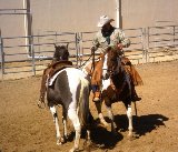 The ranch arena featured a most interesting demonstration of how to train a horse. We all learned something.