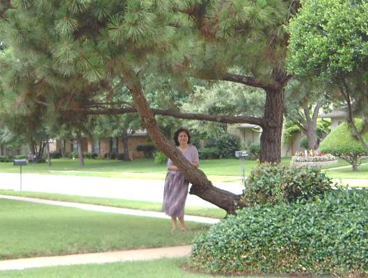 Ai Yueh wanted a picture in the front yard