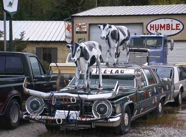 The Aubrey "Cattle-Lac" sits just across the road from the Circle Y Ranch.
