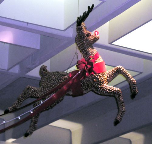 Rudolph is still at Northpark