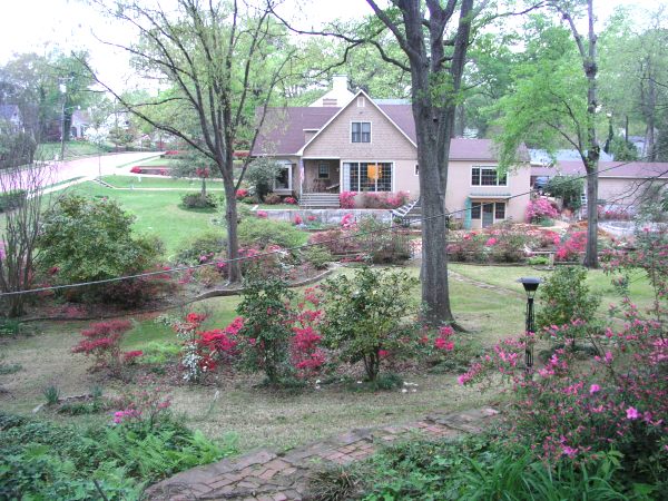 Lindsey street side yard