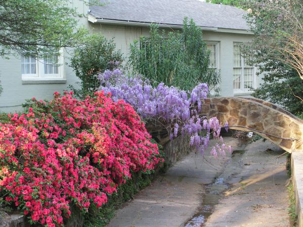 Disguised drainage ditch.