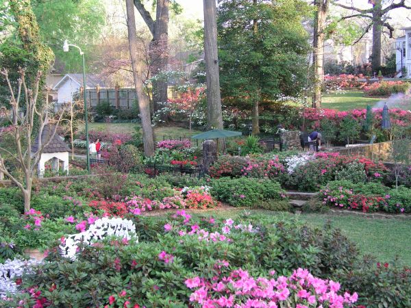 Back yard gardens