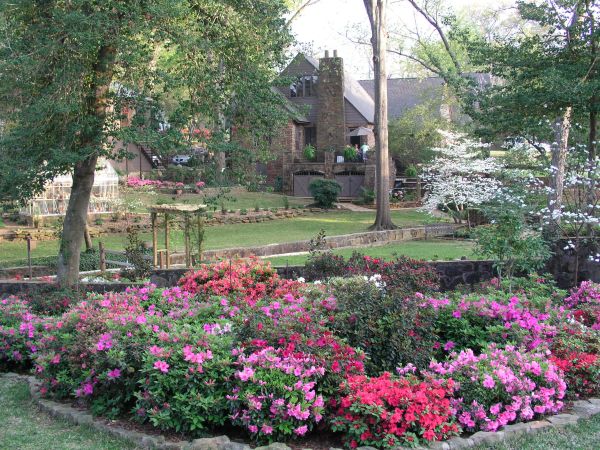 Back yard gardens