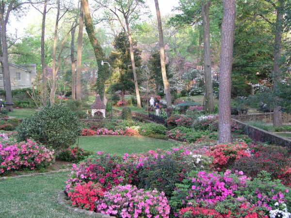 Dobbs street backyard gardens