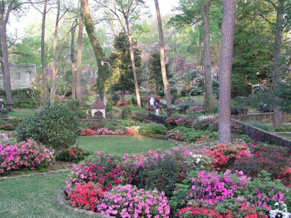 Dobbs street backyard gardens