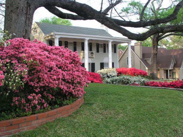 Lindsey street front yard