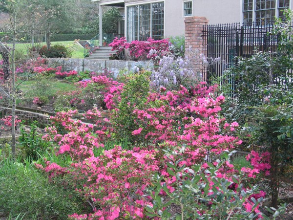 A Lindsey street side yard with new pool fence