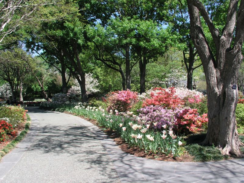 The Dallas Arboretum