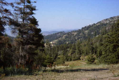 Bogus Basin Ski Trail