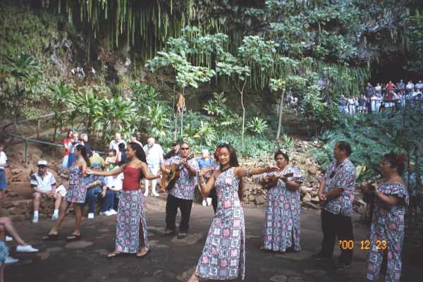 In the Fern Grotto