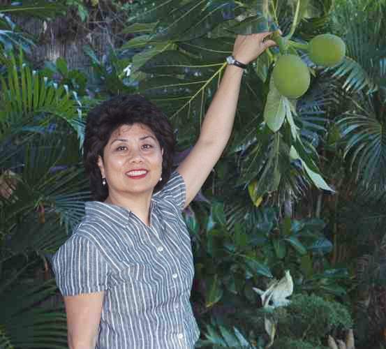 Breadfruit, the bane of the Bounty mutineers!