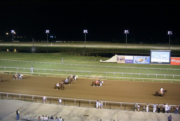 The horses limber up prior to the race start