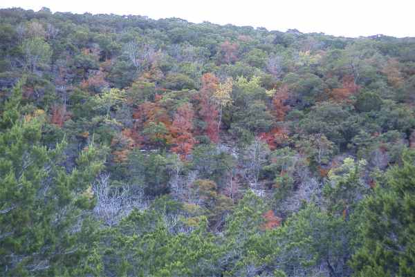 The hills were alive with the color of fall