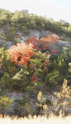 Color on the canyon walls