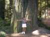 Angie becomes a tree-hugger with this redwood