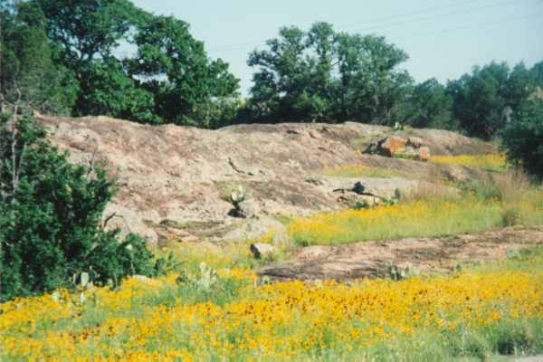 Typical Hill Country roadside