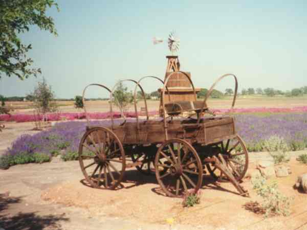 Wagon at Wildseed Farms