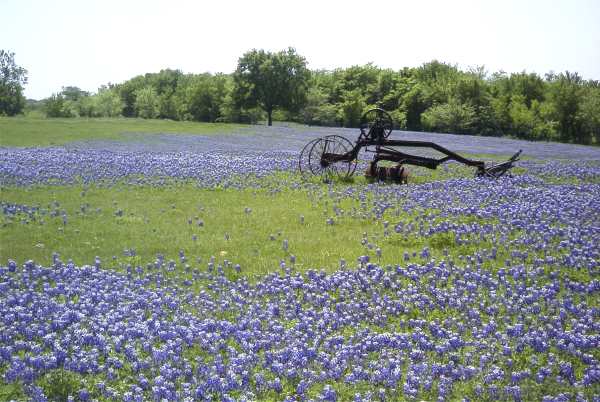 Puts me in the mind of picnicing. How about you?