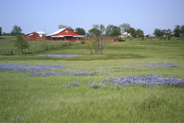 Typical North Texas scene in spring