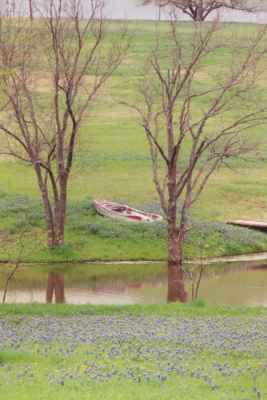 Bluebonnets and a boat beside a stream